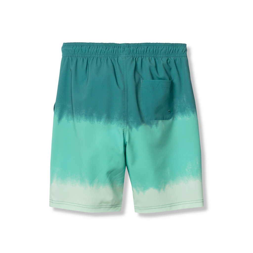 Boys Sea Spray Printed Swim Shorts