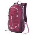 Stowaway Packable 20L Daypack